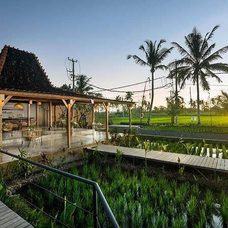 Dituju Ubud By Pramana Villas 외부 사진