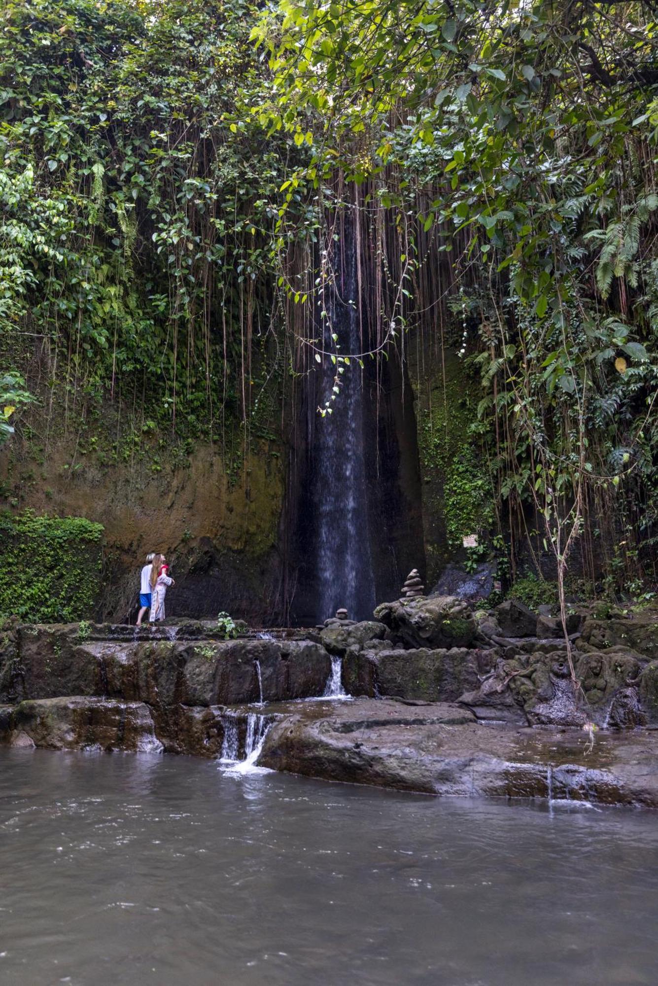 Dituju Ubud By Pramana Villas 외부 사진