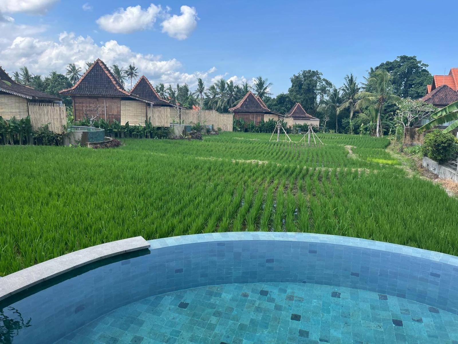 Dituju Ubud By Pramana Villas 외부 사진
