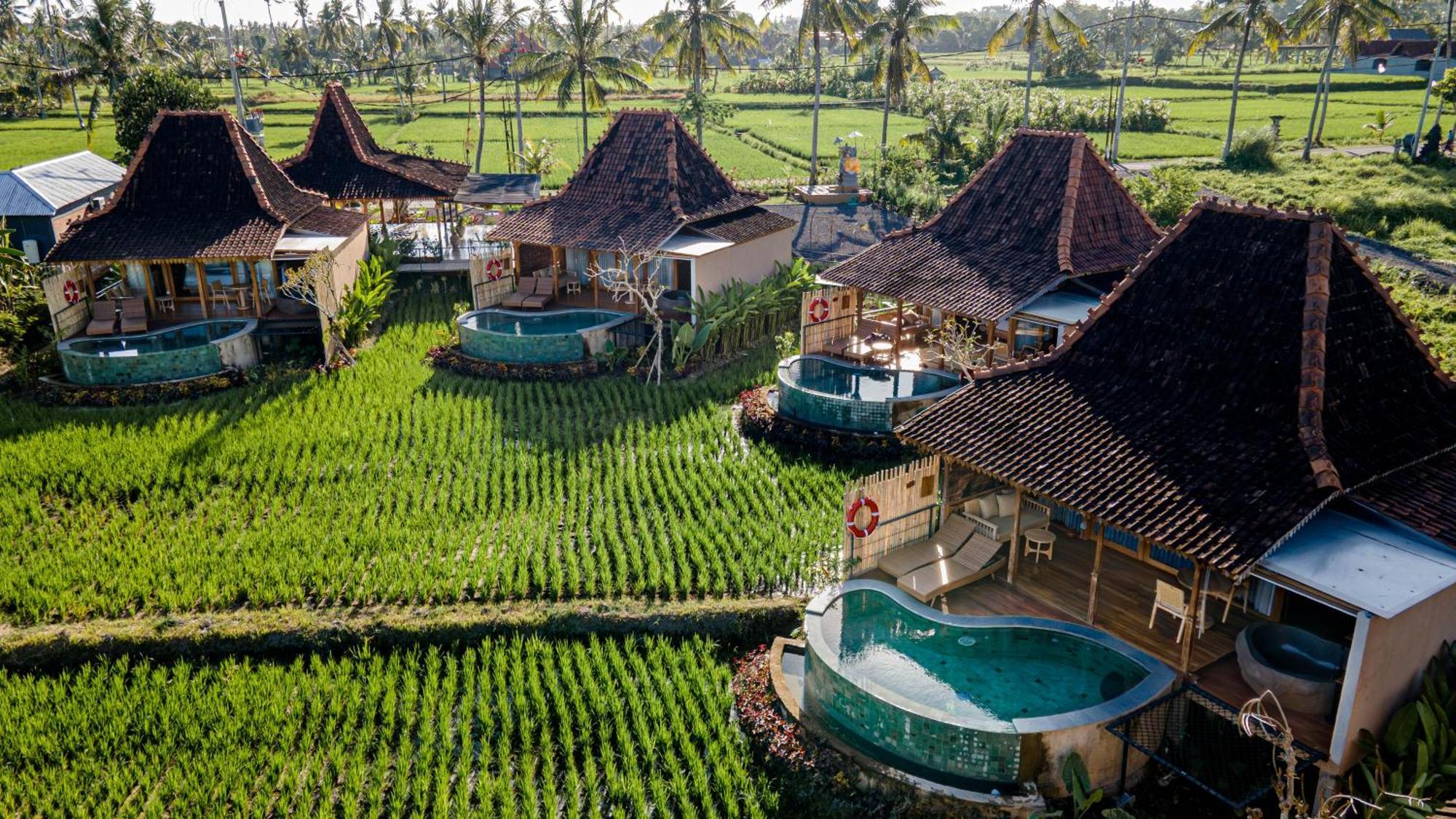 Dituju Ubud By Pramana Villas 외부 사진