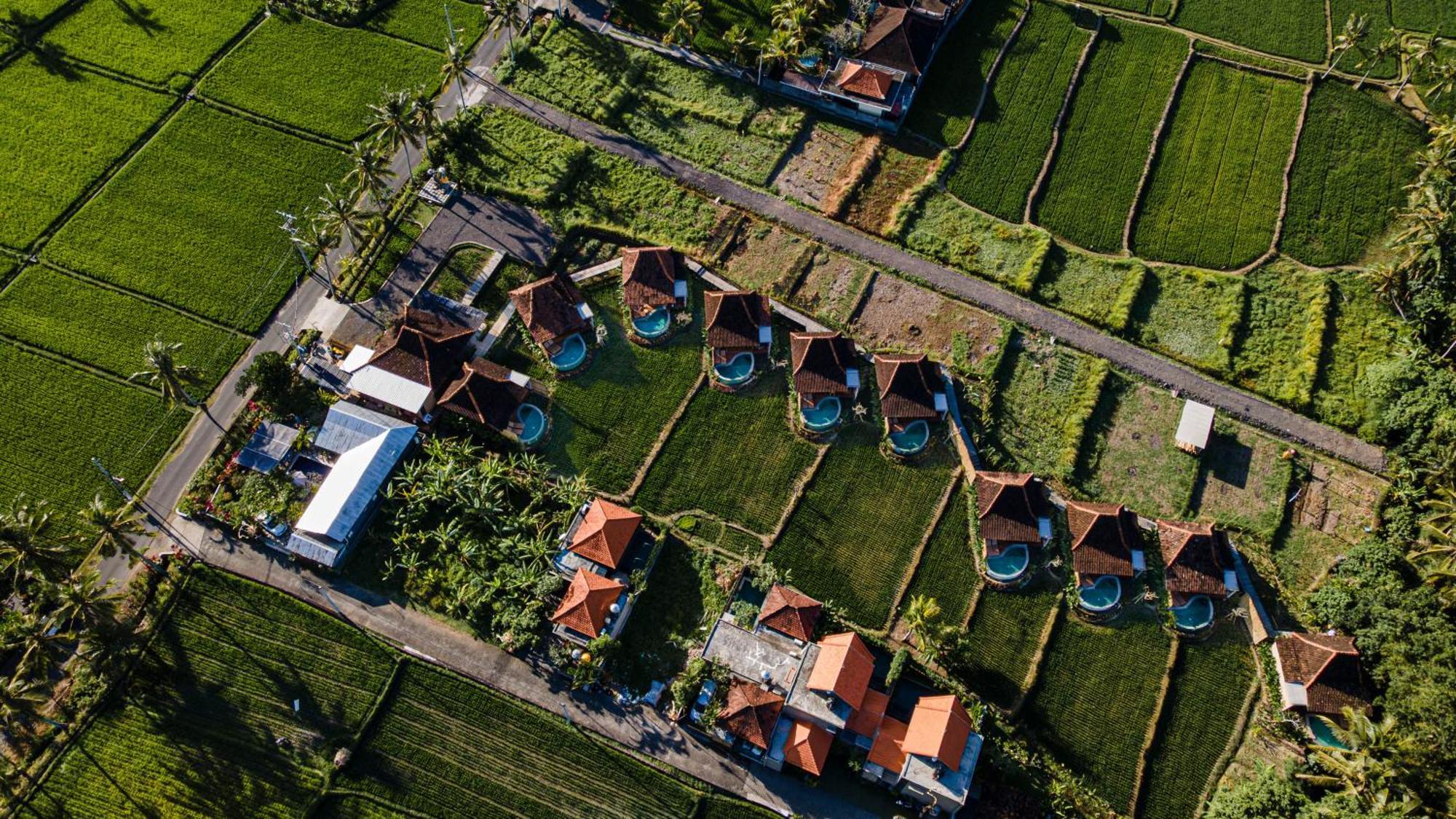 Dituju Ubud By Pramana Villas 외부 사진