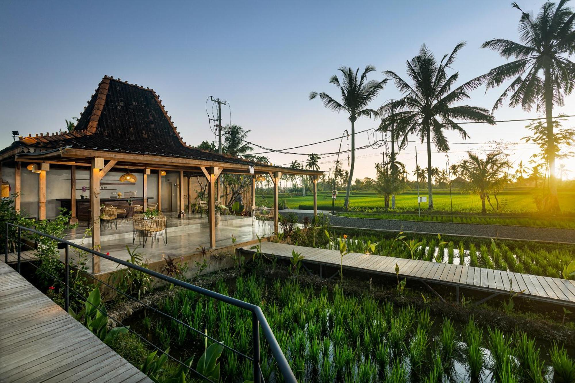 Dituju Ubud By Pramana Villas 외부 사진